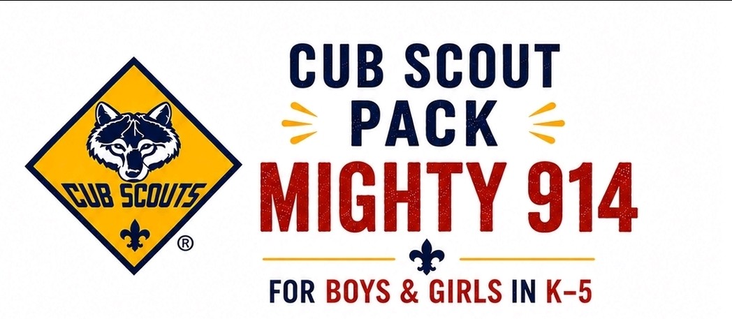 Pack 914 scouts