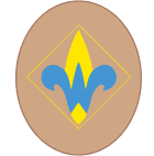 Webelos Scout